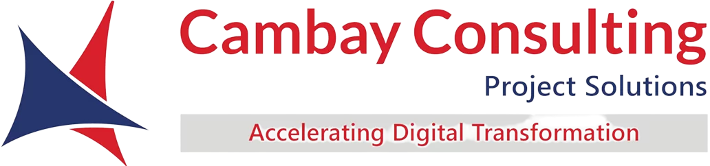 Cambay Consulting Project Solutions